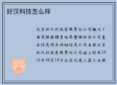 好汉科技怎么样